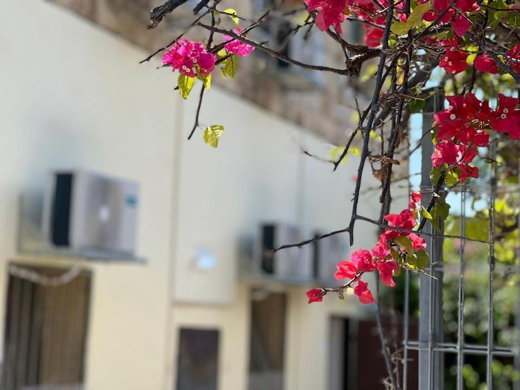 Godson Talpiot Apart otel Hayfa Dış mekan fotoğraf